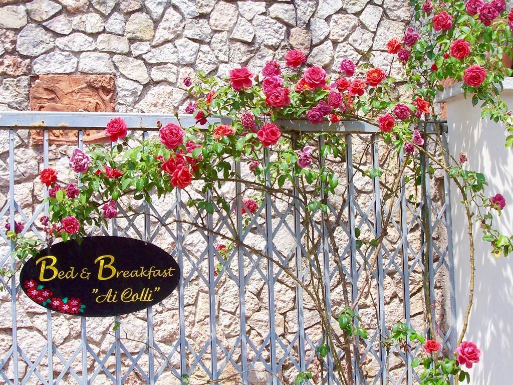 Ai Colli B&B Salò Oda fotoğraf